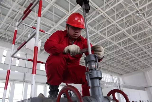 油红人|那个“不懂油的月半子”