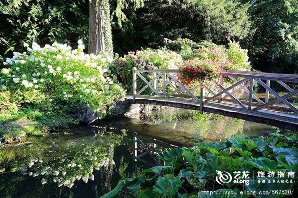 罗莱夏朵香缇,罗莱夏朵怀石