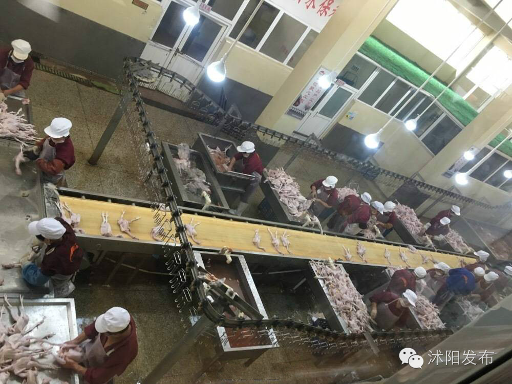 这个秋天遇见了怦然心动,这个秋天遇见最美的你