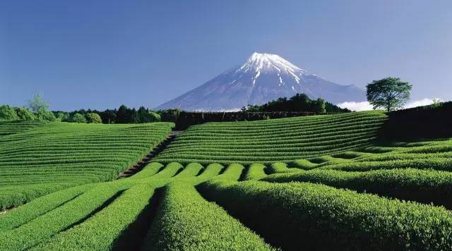 当你想冲动消费怎么办,人是需要冲动消费的