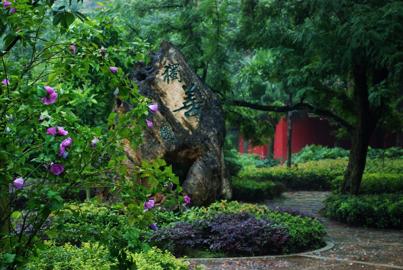 走进最美校园柳荫中学,走进最美校园与秋天