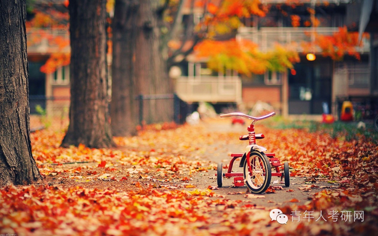 考研什么时候准备政治分析题,考研政治分析题一般能得多少分