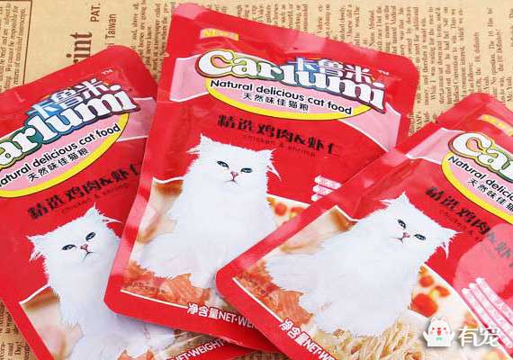 猫咪抑郁症再养个猫陪它 (猫咪抑郁症什么表现)