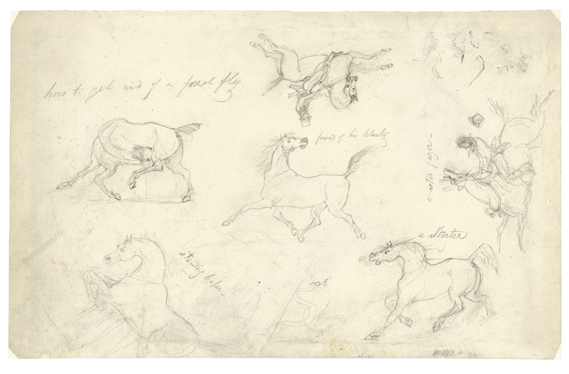 专访杨好｜当大漠与法国相遇，敦煌文博会的第N种打开方式