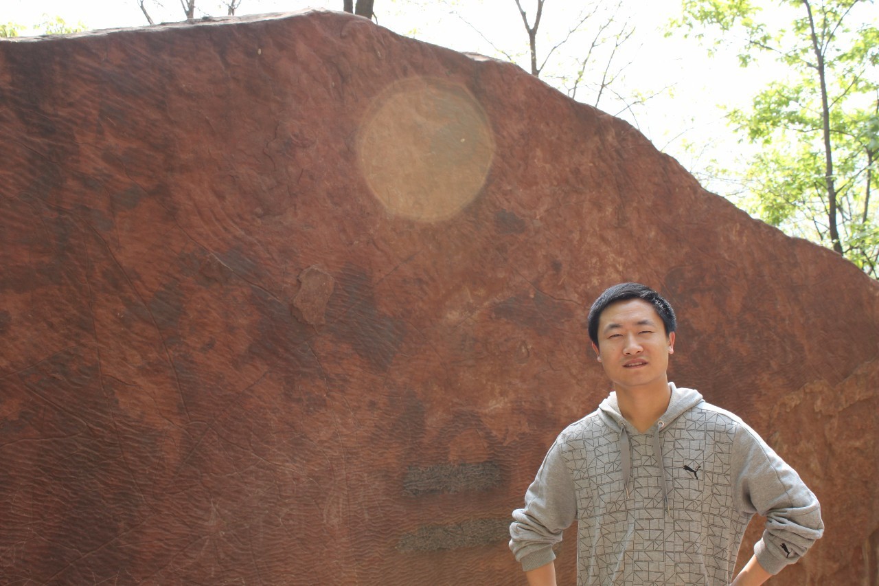 张军花鸟画作品欣赏,李松国画花鸟艺术作品