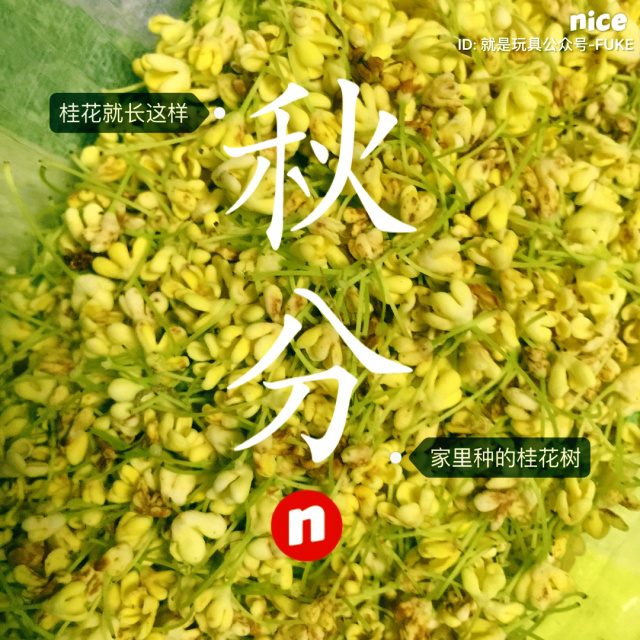 挑战你们的审美,挑战你的审美