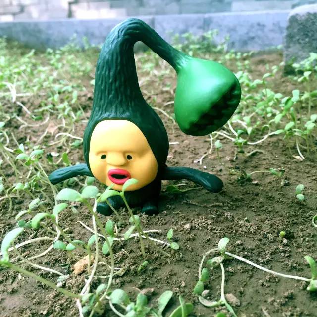 挑战你们的审美,挑战你的审美