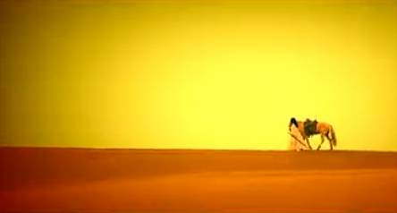 “英雄传说”演绎最盛大开幕式千年大漠更显英雄情怀