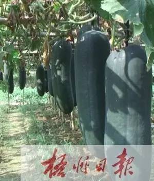 广西哪些地方风景好,广西哪些山好玩