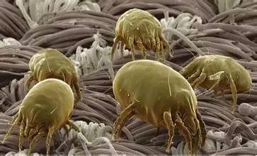 陈医生根治哮喘经验方,张景明讲小儿哮喘治疗方法