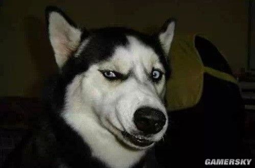 讲武堂还能去吗,讲武堂能进去吗