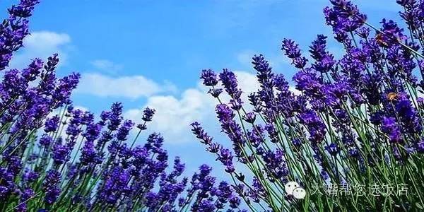 大连周边吃喝玩乐一日游,大连周边五日游攻略