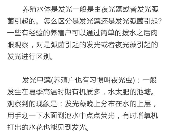秋天养虾盐提高，水体发光时应注意了