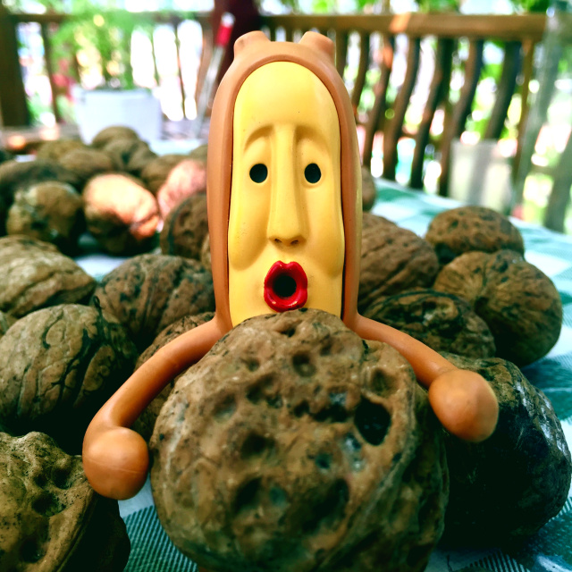 挑战你们的审美,挑战你的审美