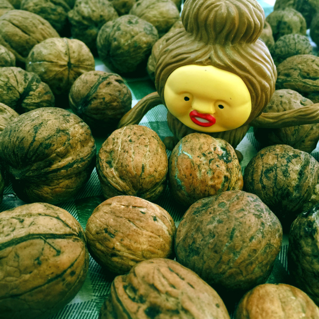 挑战你们的审美,挑战你的审美