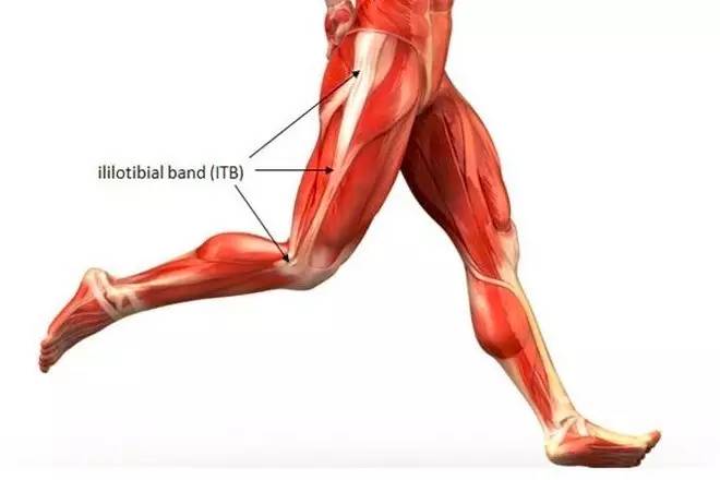 你永远不知道什么是真正的肌肉,每个人都有的肌肉是什么肌肉