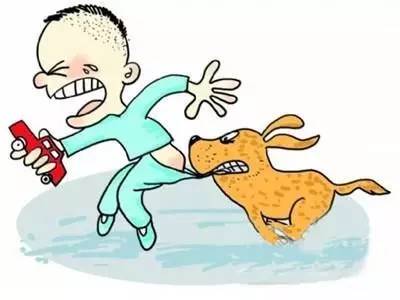 婴幼儿被动物咬伤急救,宝宝被小动物咬伤了怎么办