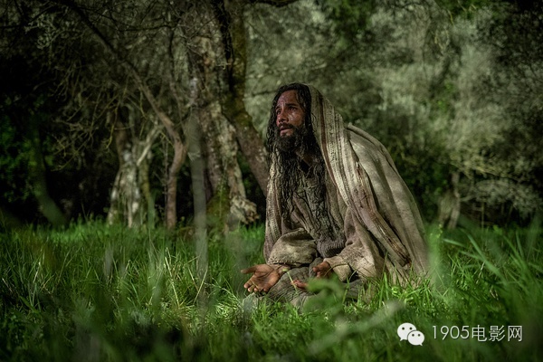 11项奥斯卡大奖,奥斯卡大奖和吉尼斯纪录