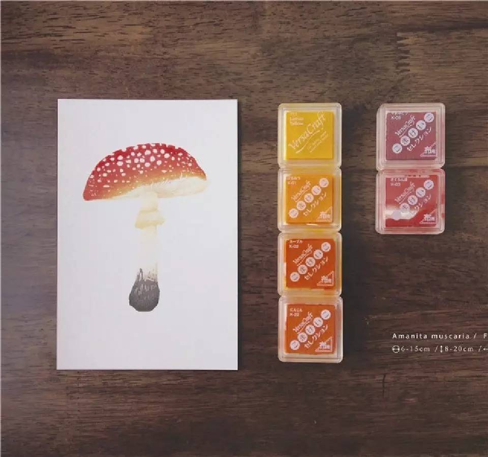 专访杨好｜当大漠与法国相遇，敦煌文博会的第N种打开方式