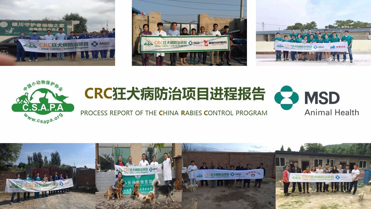 crc项目初期的准备工作,crc项目流程