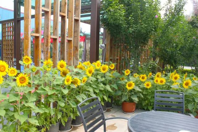 十一去哪儿｜国庆最后一天，运河苑泡完温泉再上班，解乏又养颜哟