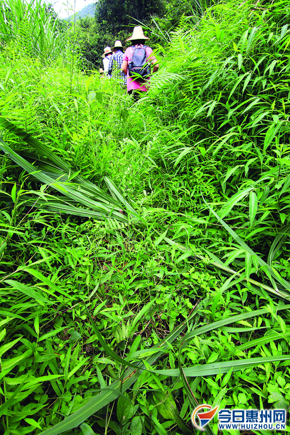 国庆假期去惠东高潭走走红军路探探燕子洞