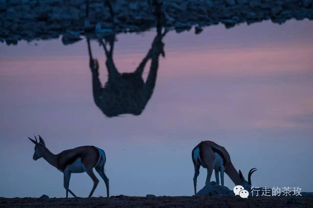 约伴自驾新疆,约伴出行西藏旅游