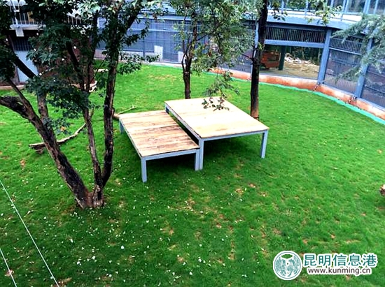 今年国庆节昆明八大公园免费,昆明国庆免费开放公园