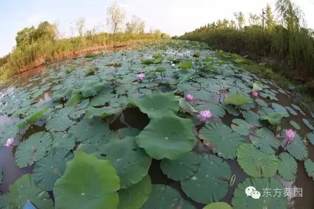 周末上海浦东有什么好玩的,五一上海浦东游玩攻略最全