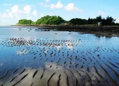 玩出冲浪的感觉,广西最美海边沙滩推荐
