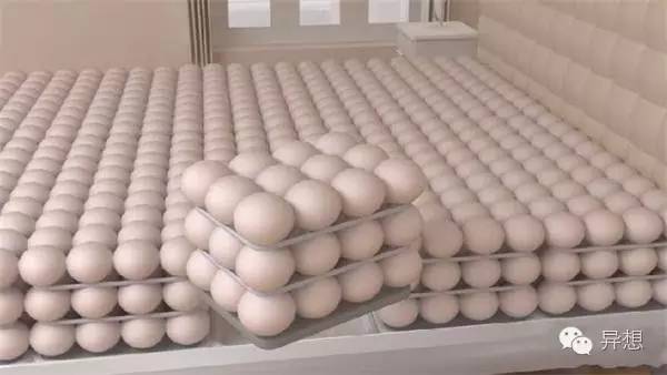 智能科技床多功能,智能时代的功能机