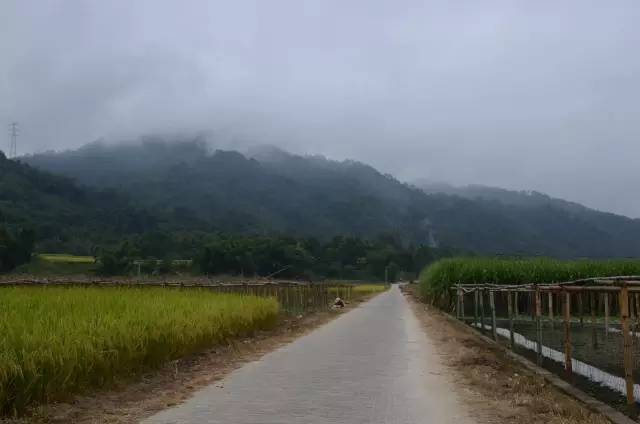 葫芦丝非遗传承人哏德全,葫芦丝大师哏德全故居