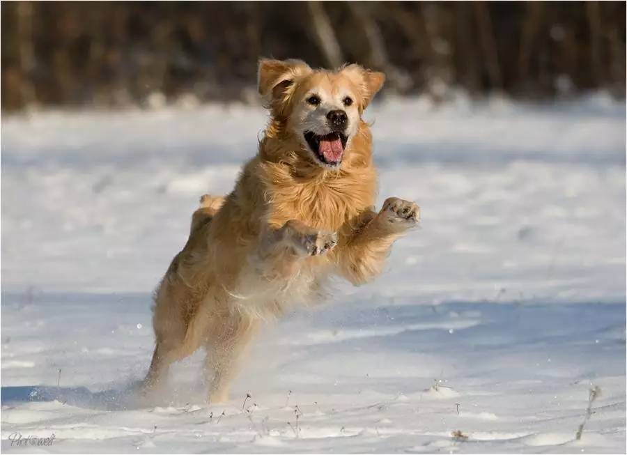 零下100摄氏度飞机被冻在半空,零下100度飞机瞬间冻住