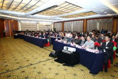 中国新能源汽车董事长排名,中国新能源车企创始人