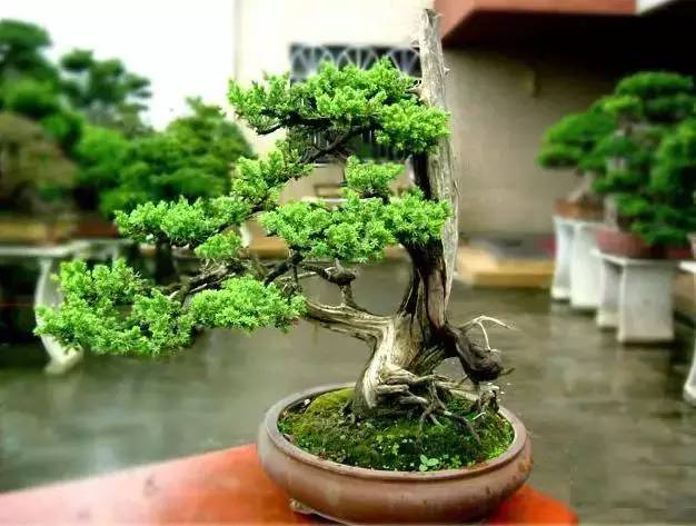 一份送给爸妈的礼物清单,春节给父母的礼物送什么好