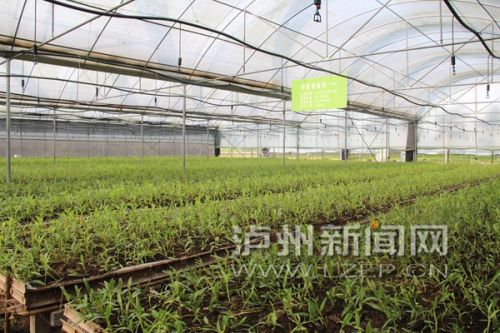 合江经济发展,合江工业招商