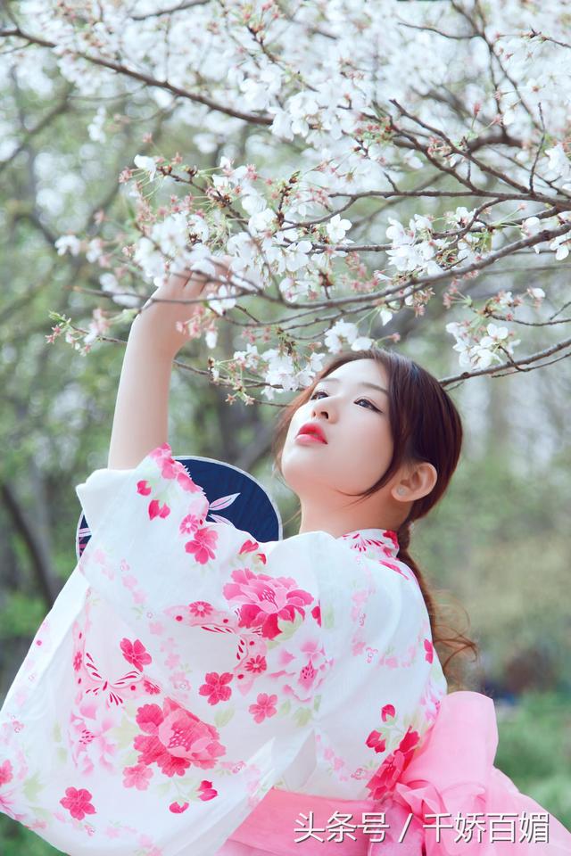 和服樱花日本,日本樱花美景和服