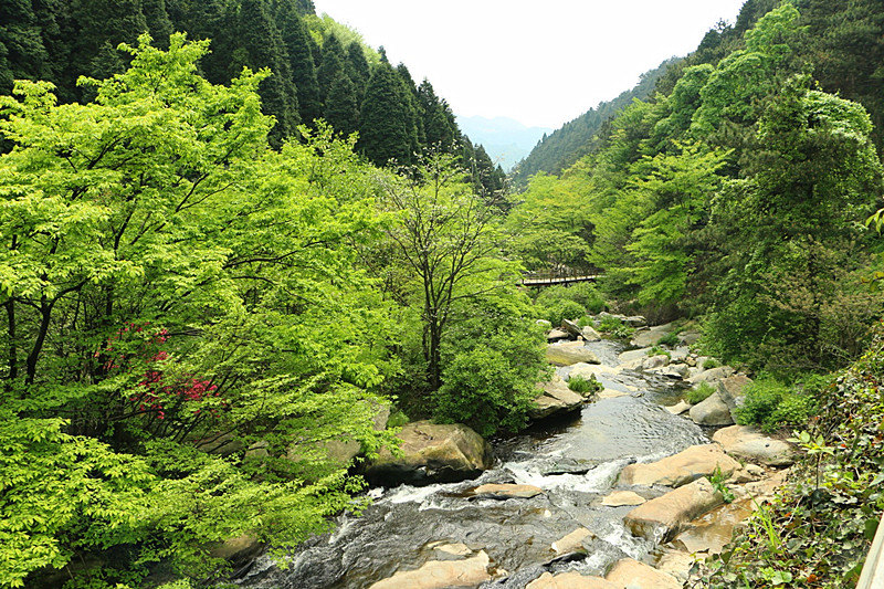 再秘密也得曝光!庐山这13个精品酒店完全让人死去活来!