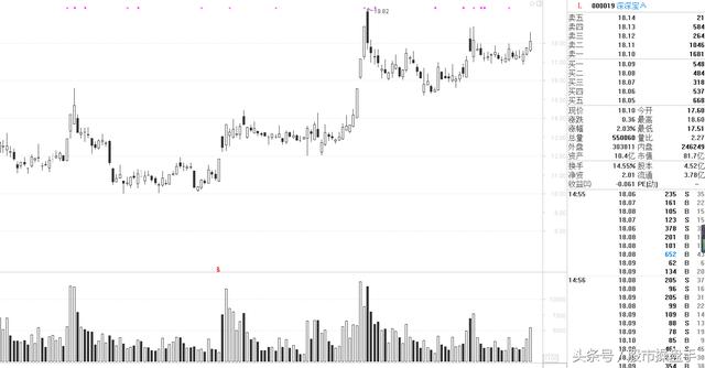 职业操盘手记:天鹅高飞冲板无望,转战他股夺下一板