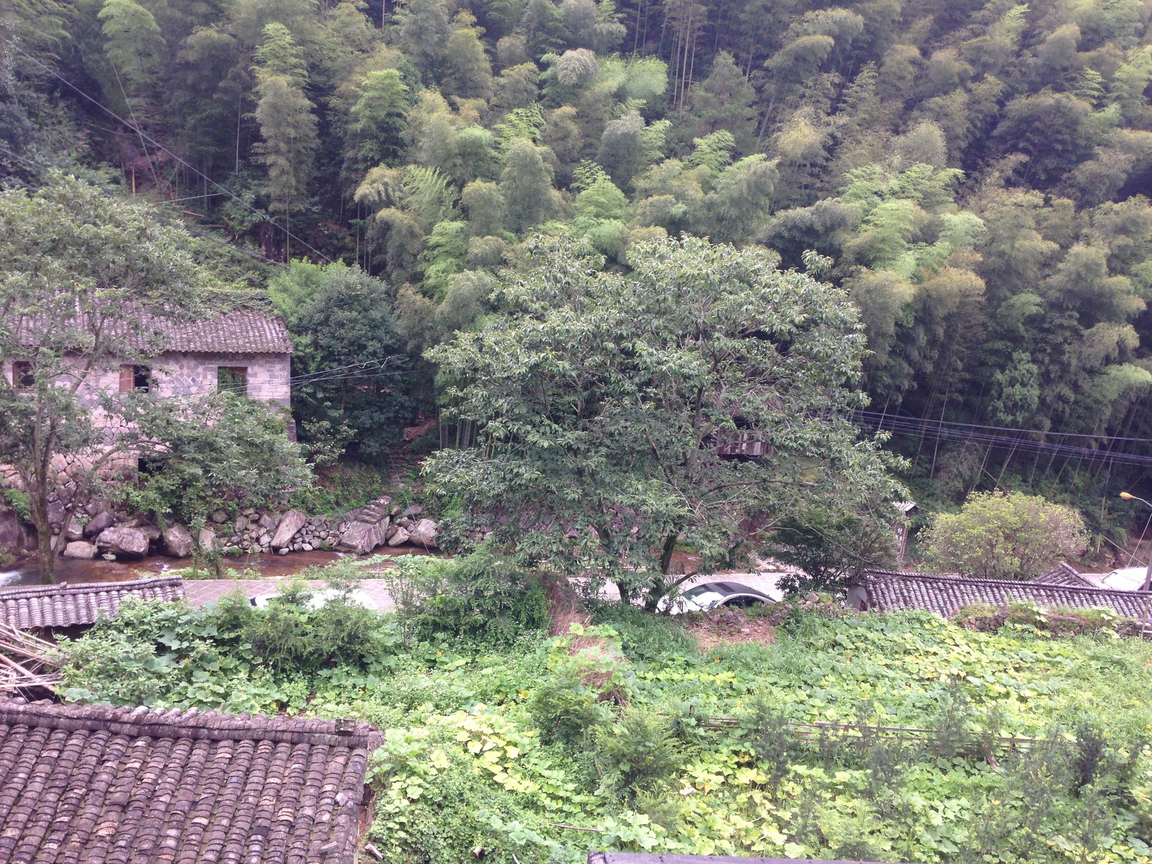 楠溪江周边酒店民宿哪家比较好,旅游休闲好帮手