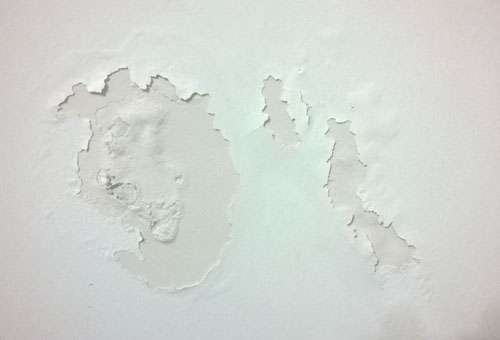 家中墙壁为什么会上霉,墙壁有大面积霉怎么处理