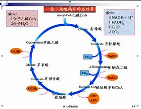 运动过量肌肉酸痛怎么快速恢复,搬重物后肌肉酸痛怎么快速恢复