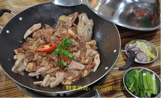 大自然醉鹅培训班,深圳醉鹅培训班