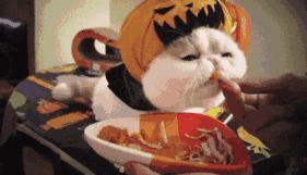 万圣节去哪玩最可怕,万圣节装鬼攻略