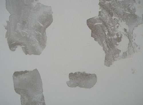 家中墙壁为什么会上霉,墙壁有大面积霉怎么处理