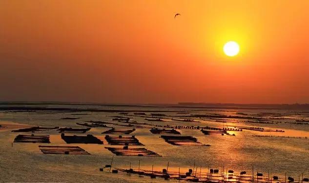 福建海边旅游推荐民宿,福建小木屋