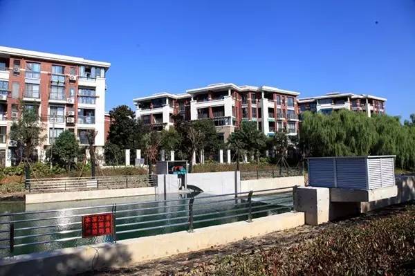 西溪湿地，真的不像表面那么简单！现在就带你去看