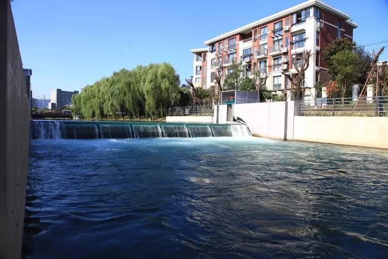 西溪湿地，真的不像表面那么简单！现在就带你去看