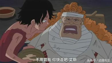 伟大航路,十位最出色的老师,最差的学生实力都过亿!