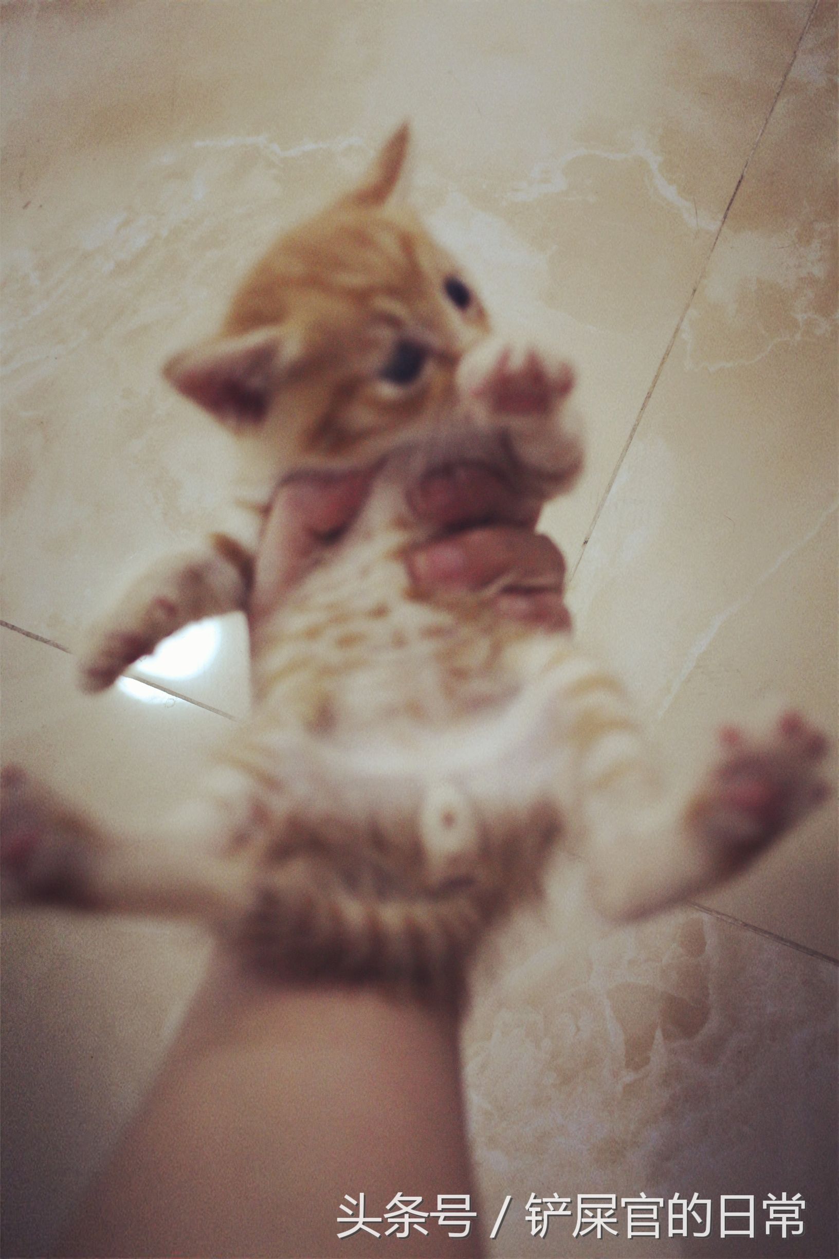 婊℃湀鐚挭鍊煎緱楂樺叴鐨勪簨,钀岀尗鍜垰婊℃湀